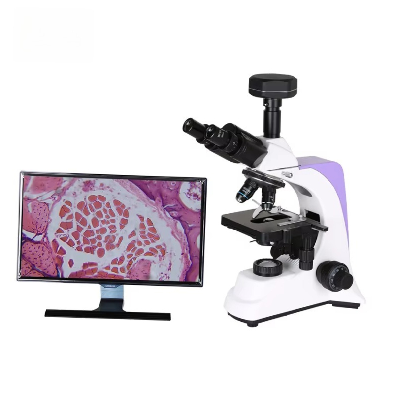 Medical Laboratory Scientist - Microscópio Biológico Digital para Laboratório Médico